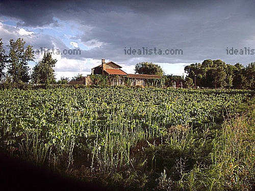 g_VW0000002481328_1_1251637795997