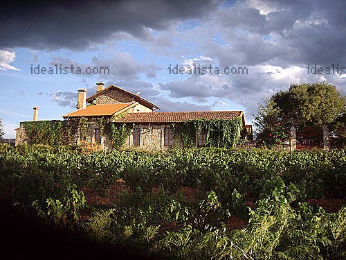 g_VW0000002481328_3_1251637903622