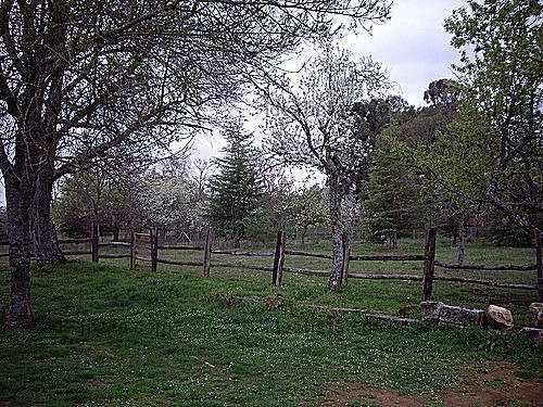 g_VW0000002481328_8_1251638092835