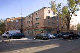 Grupo virgen de loyola