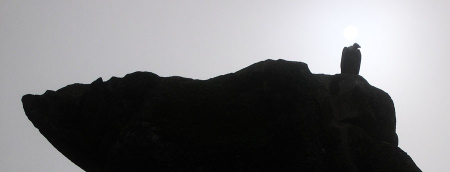 Los "fondos buitre" realizan ofertas por pisos de bancos con descuentos del 70 y 80%