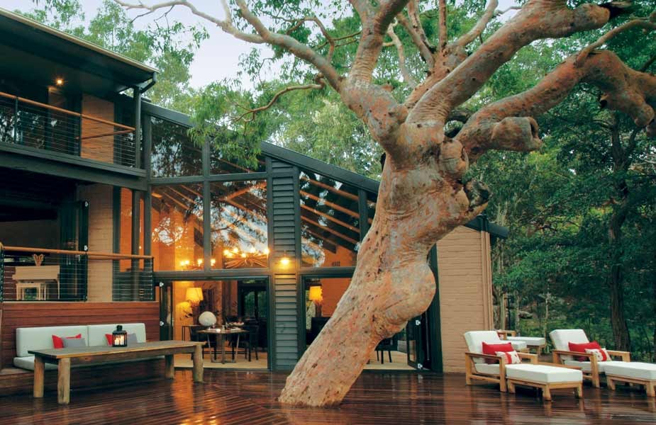sydney-beachhouse-tree-deck