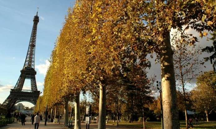 2011, el último año de ‘vacas gordas’ para el sector inmobiliario en Francia