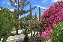 Las 10 casas con jardín más bonitas para alquilar esta primavera (fotos)