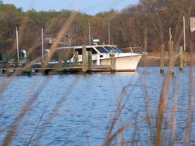 casa-ensueno-annapolis28