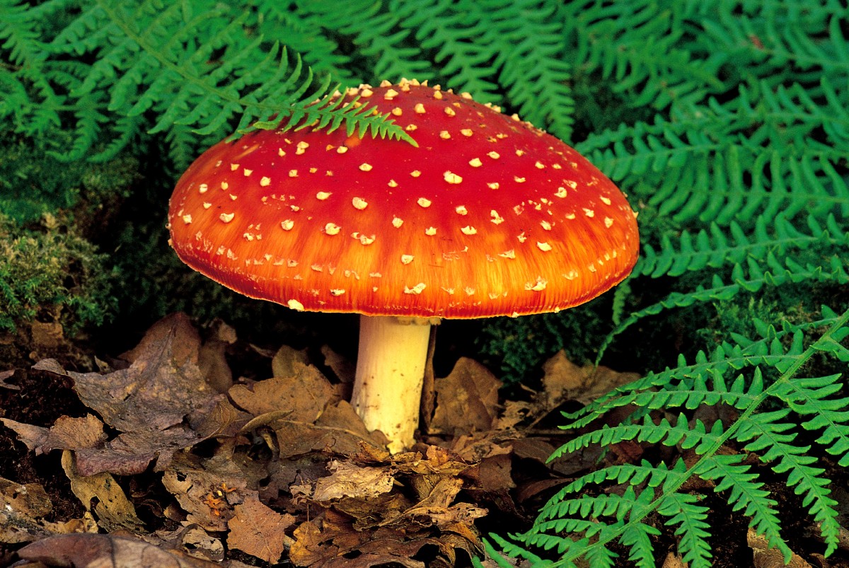 5 agujeros de la nueva ley anti desahucios