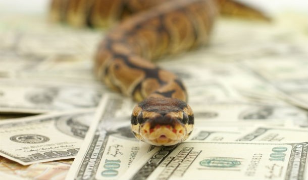 multidivisas-hipoteca-serpiente-pano