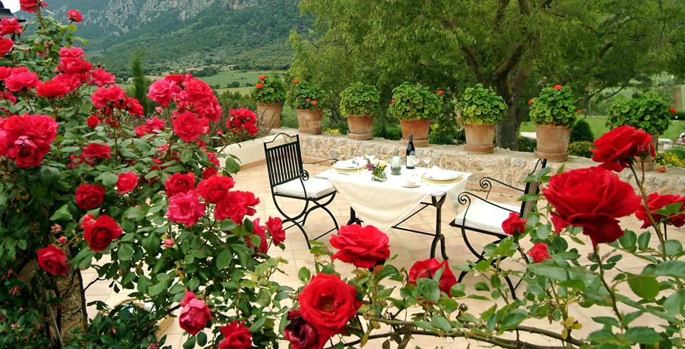 galeria_sonpalou_4_0