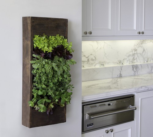Ideas de decoración: jardines verticales caseros (fotos)
