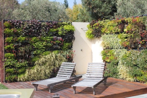 Ideas de decoración: jardines verticales caseros (fotos)