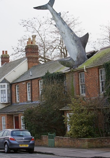 Sharkhouse_2240791k