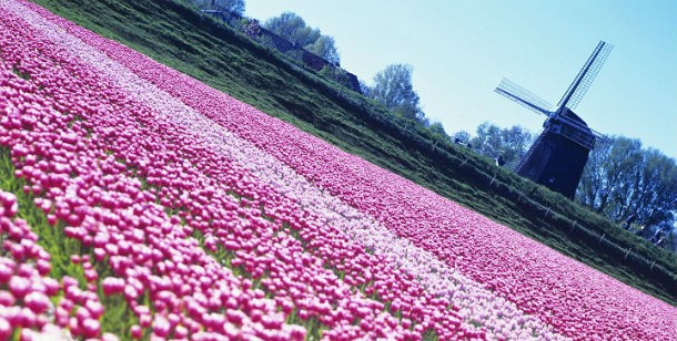 Holanda y Suecia, países donde aún se cometen excesos hipotecarios