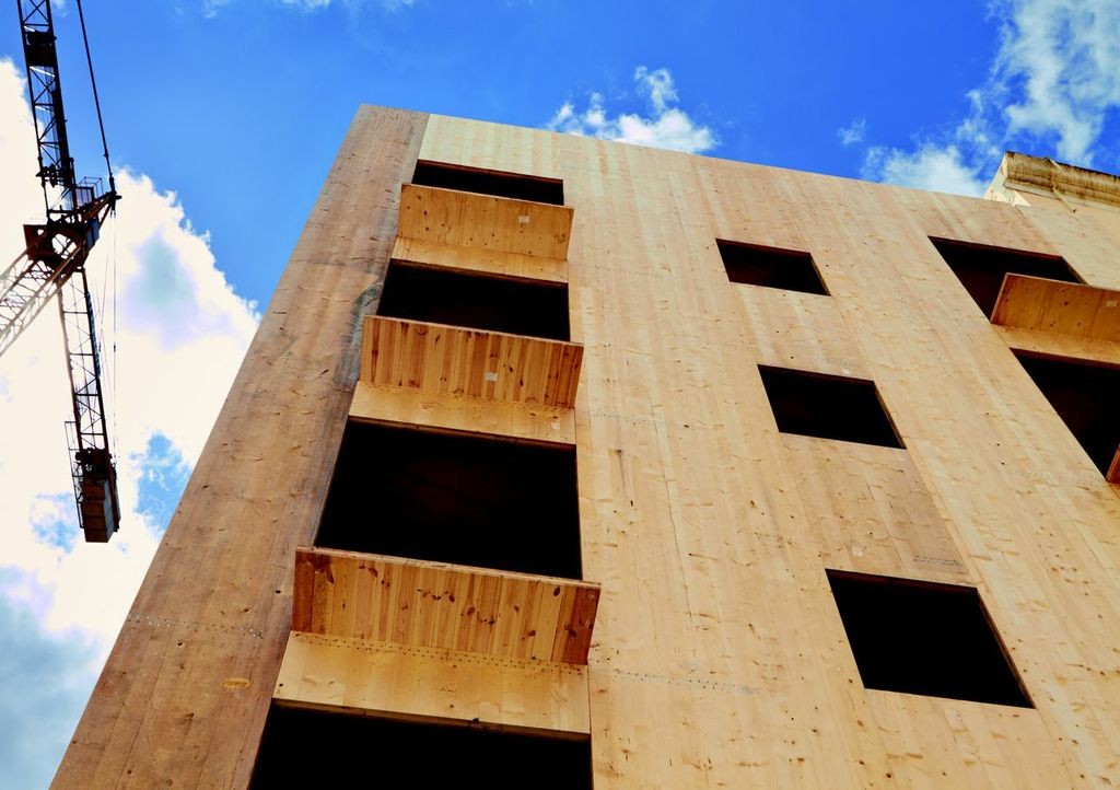 Volviendo a los orígenes: la madera, alternativa al ladrillo y el hormigón para la construcción de viviendas