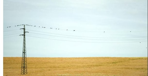El gobierno permite que el suelo de la banca valga como el suelo rústico
