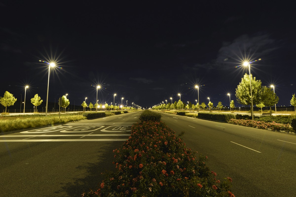 Agua regenerada, asfalto fonoabsorbente y 300.000 árboles: así se construye un barrio sostenible