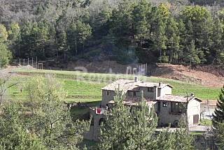 Vete a buscar setas: 30 casas rurales para disfrutar de esta divertida tradición Otoñal