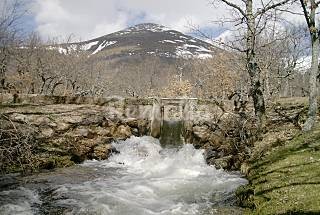 Vete a buscar setas: 30 casas rurales para disfrutar de esta divertida tradición Otoñal