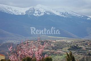 Vete a buscar setas: 30 casas rurales para disfrutar de esta divertida tradición Otoñal