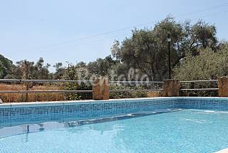 Vete a buscar setas: 30 casas rurales para disfrutar de esta divertida tradición Otoñal