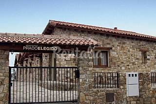 Vete a buscar setas: 30 casas rurales para disfrutar de esta divertida tradición Otoñal