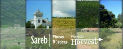 la cartera harvest aglutina los suelos rústicos de sareb La venta de la cartera harvest de sareb marcha: vendidas 2.000 hectáreas de suelo rústico desde septiembre