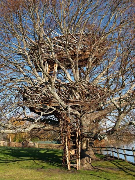 va_tree_houses_03_2413922k