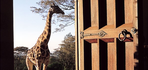 giraffe-manor-surrounding2_0