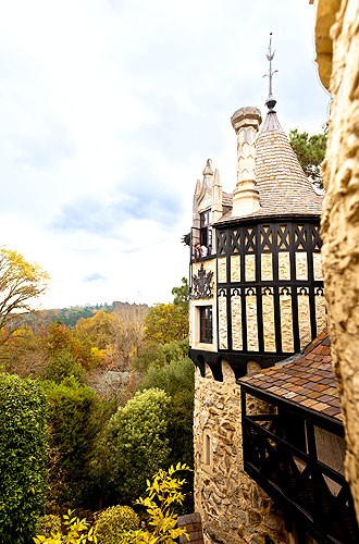 Large_Gallery_46619703-Rapunzel