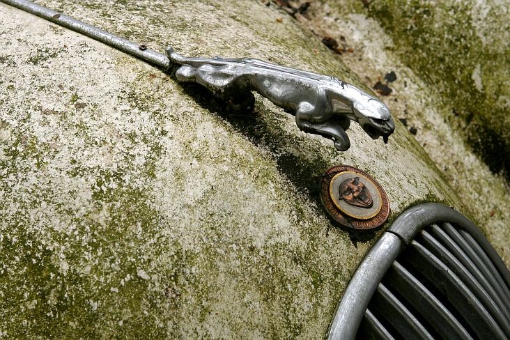 732x488xsupercar19.jpg.pagespeed.ic_.rri1fuu0zd