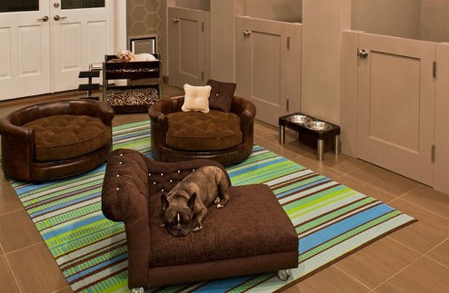 Ideas de decoración: cómo crear un espacio para las mascotas (fotos)