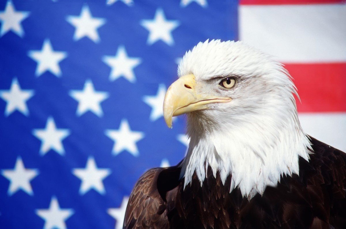 Otro fondo estadounidense se une a la caza de la operación inmobiliaria del año en España