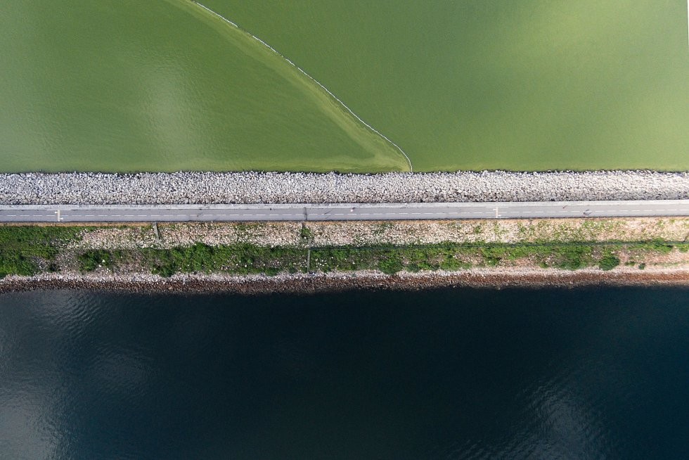 1405425974_637751_1405427346_album_normal