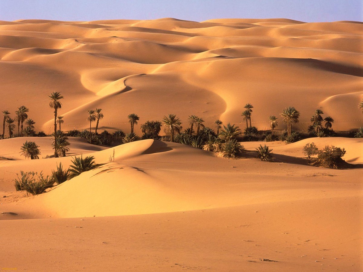 Así es la vida en los puntos más calurosos del planeta, donde hay temperaturas de hasta 70 grados (fotos)