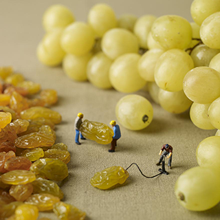 miniam-food-dioramas-pierre-javelle-akiko-ida-19