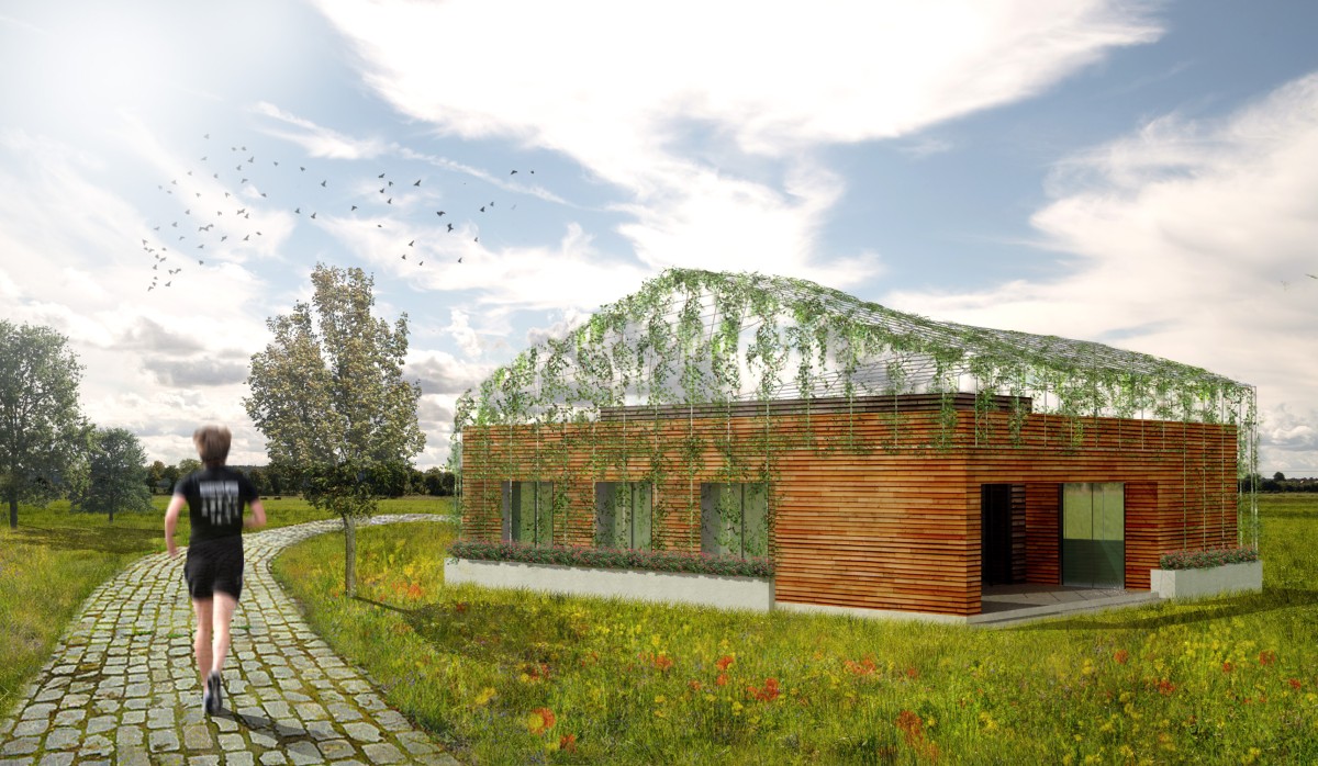 wood-house-back-view