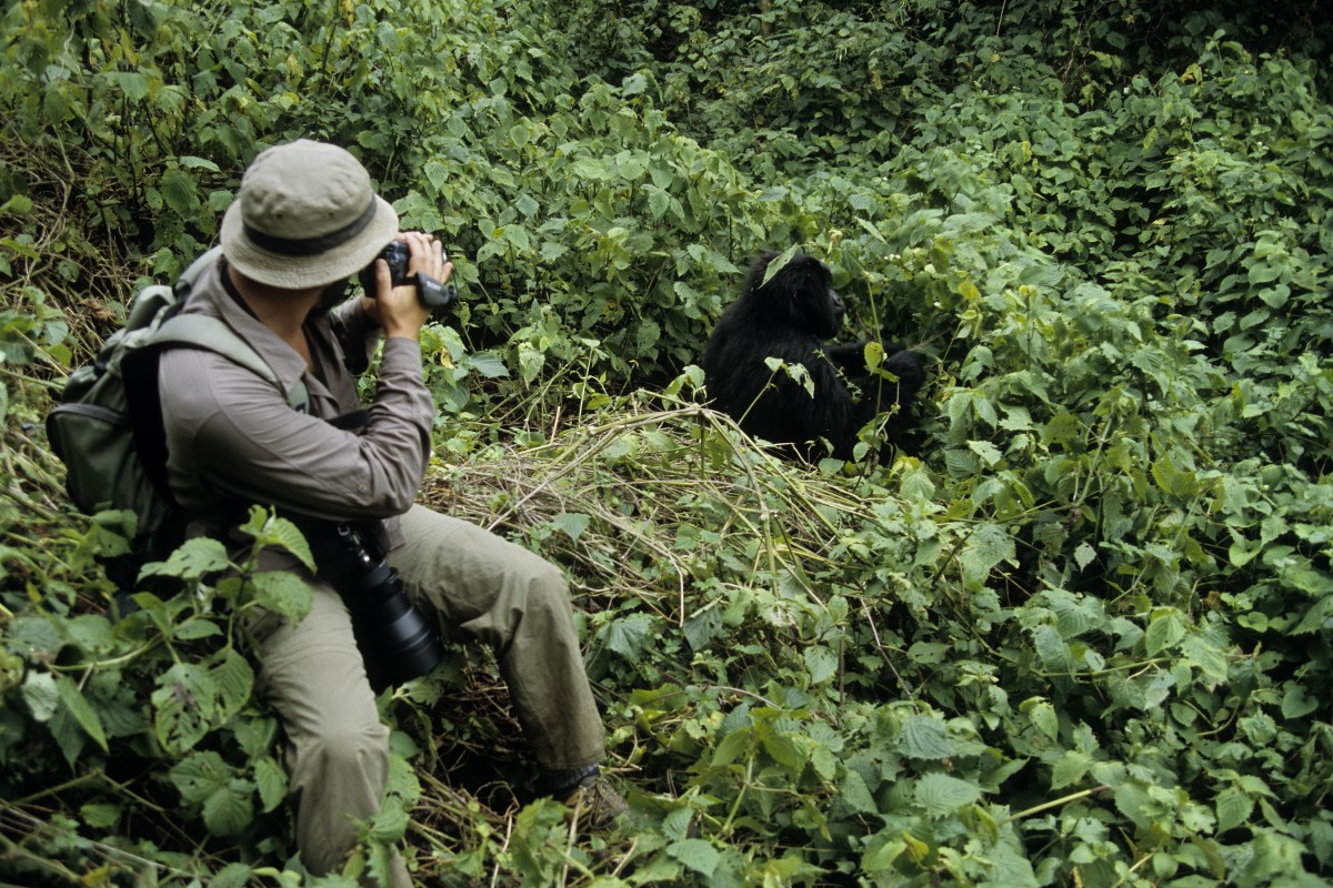 Vinculaciones hipotecarias, una especie “en peligro de extinción”
