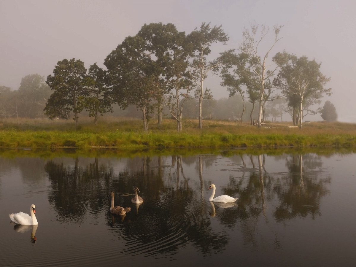 mansion-richard-gere-hamptons12
