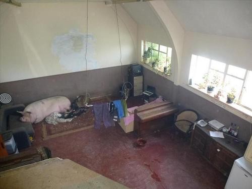 Así no vas a vender tu casa: 26 imágenes de anuncios inmobiliarios que espantarían a cualquier comprador (fotos)