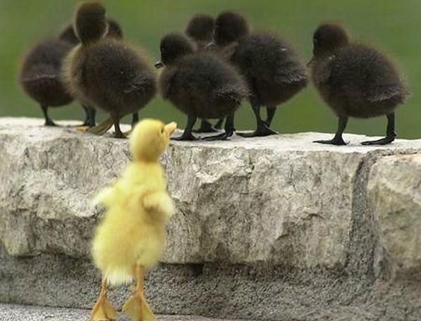 ¿Quiénes son los grandes excluidos de las hipotecas?