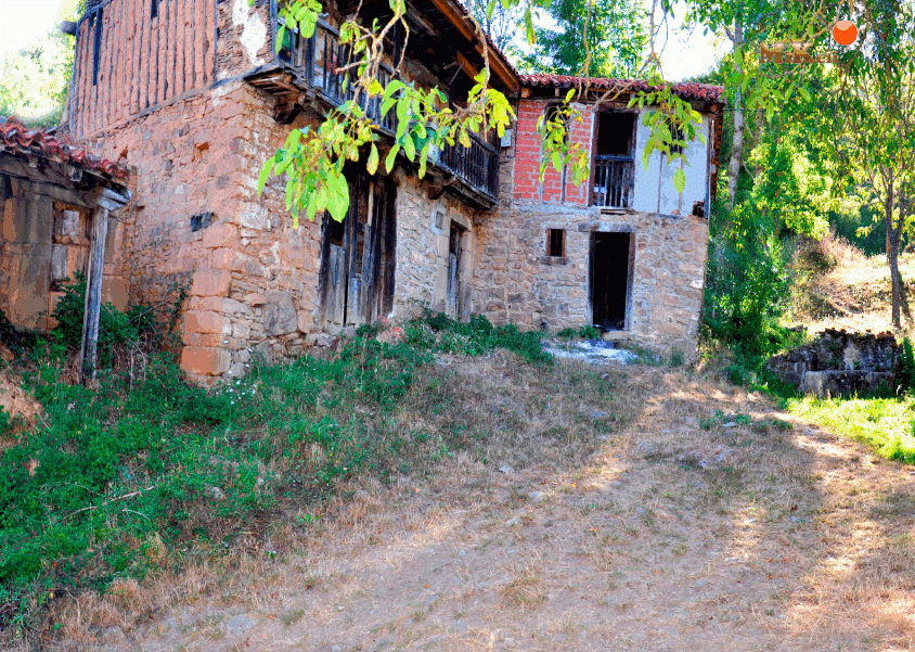 porcieda5