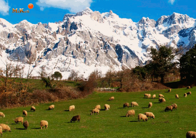 A la venta un pueblo con espectaculares vistas a los picos de Europa por 850.000 euros negociables (fotos)