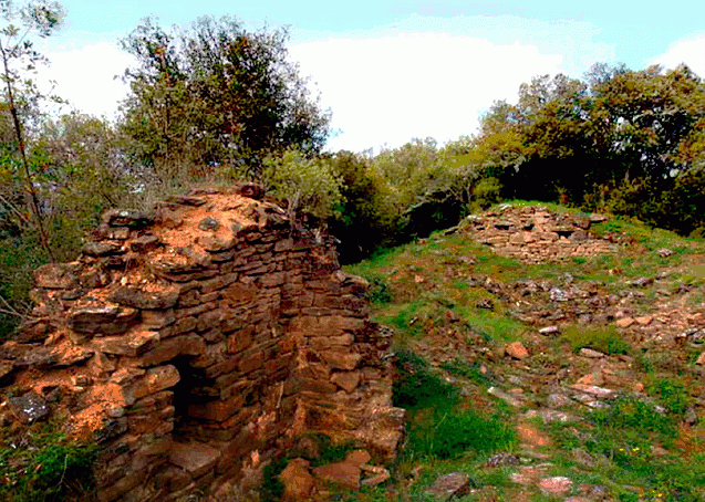 porcieda8