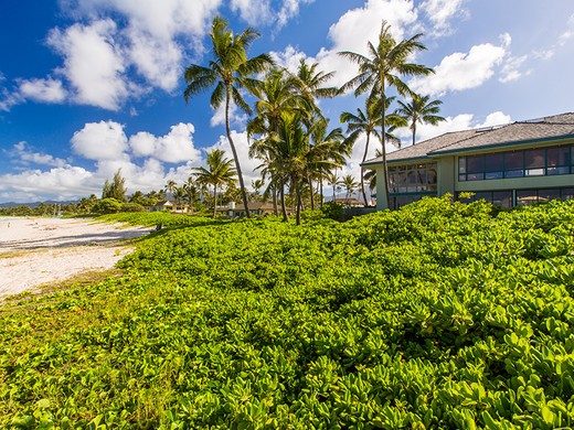 property-a19009bd02ec4f64b29d4ec1f806f1e9-3171071