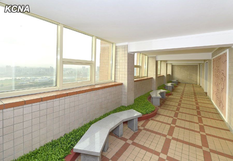 La fiebre del ladrillo llega a Corea del Norte (fotos)