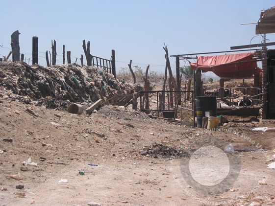 asentamientoirregularjalisco04