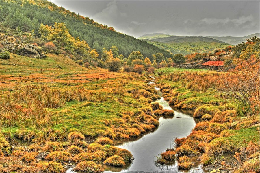 Los bosques son para el Otoño: de excursión por los siete mejores hayedos de España
