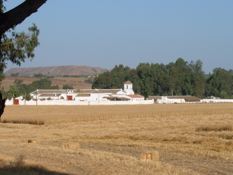 Fuente: Ayuntamiento de Gerena