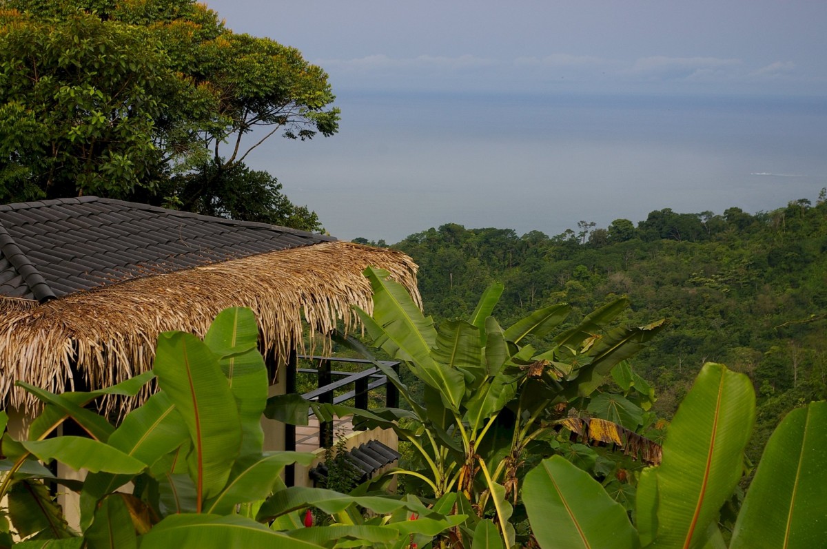 pub_one_bedroom_villa_s