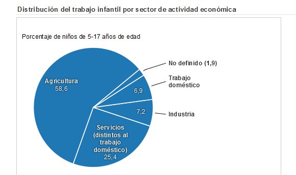 Día del niño: el trabajo infantil en cifras