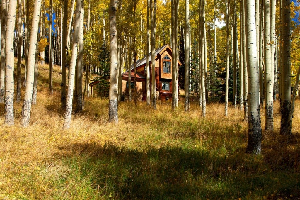tom-cruises-home-in-the-trees-237fcc-1024x682